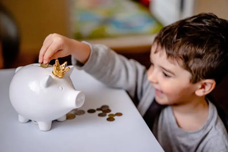 money, bank, finance, save, piggy, coin, pig, currency, investment, cash, savings, home, childhood, child, rich, toy, financial, kid, concept, happy, banking, little, budget, hand, boy, rich, rich, budget, budget, budget, budget, budget