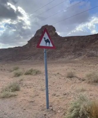 seguridad